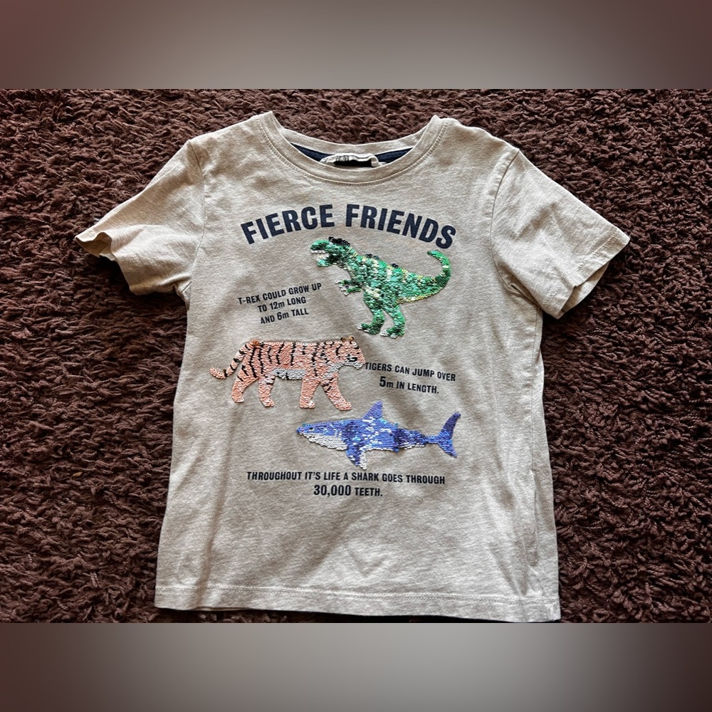 4-6Y H&M Dinosaur Sequins Short Sleeve T-shirt